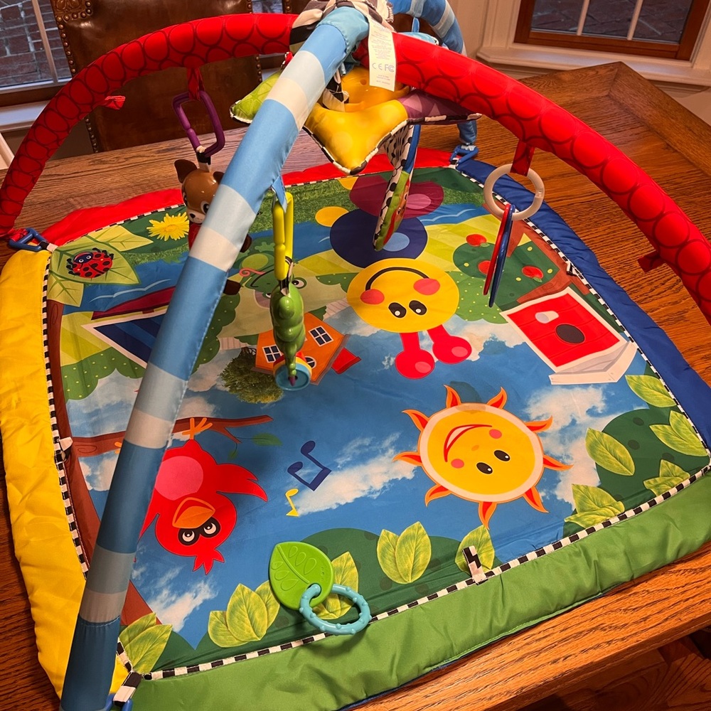 Baby Playmat